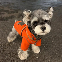 HKM-6132797 Red Hooded Sweater for Small Dogs - Casual Autumn Apparel in Sizes XS to XL