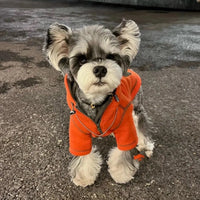 HKM-6132797 Red Hooded Sweater for Small Dogs - Casual Autumn Apparel in Sizes XS to XL