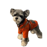 HKM-6132797 Red Hooded Sweater for Small Dogs - Casual Autumn Apparel in Sizes XS to XL