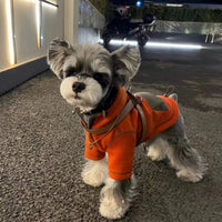 HKM-6132797 Red Hooded Sweater for Small Dogs - Casual Autumn Apparel in Sizes XS to XL