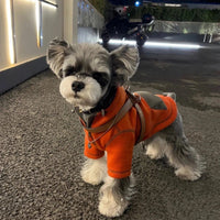 HKM-6132797 Red Hooded Sweater for Small Dogs - Casual Autumn Apparel in Sizes XS to XL