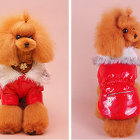 HKM-6138941 Cute Padded Down Jacket for Puppies ¨C Warm Cotton Coat in Blue, Red, Pink, Sizes XS-XXL