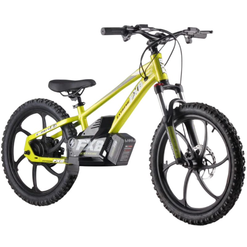 HKM-613907 36V 400W Electric City Bike with 20-Inch Kenda Tire, Aluminum Frame, Dual Speed, Disc Brake, Ideal for Kids