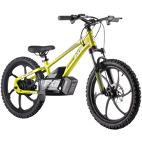 HKM-613907 36V 400W Electric City Bike with 20-Inch Kenda Tire, Aluminum Frame, Dual Speed, Disc Brake, Ideal for Kids
