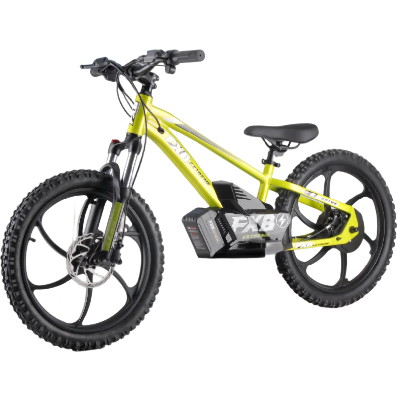 HKM-613907 36V 400W Electric City Bike with 20-Inch Kenda Tire, Aluminum Frame, Dual Speed, Disc Brake, Ideal for Kids