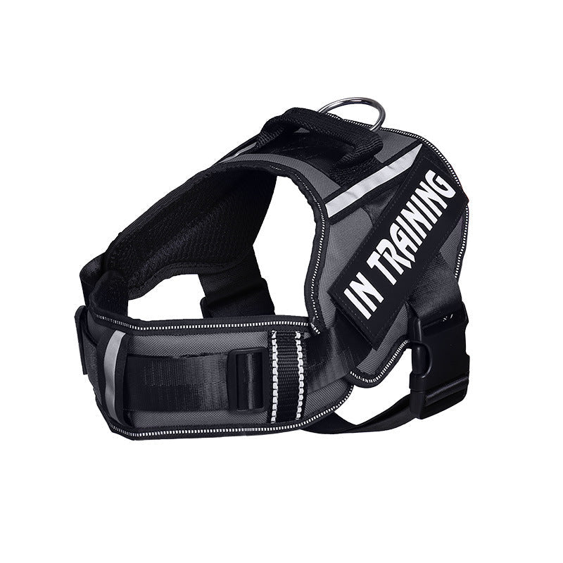 HKM-6140221 Reflective Nylon Dog Leash with Chest Harness Customization Options