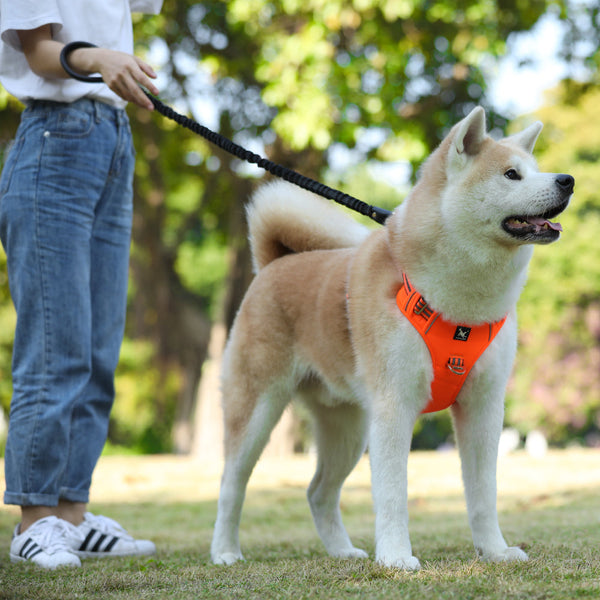 HKM-6143421 Durable Oxford Cloth Dog Chest Strap with Vertical Handle and Reflective Edges