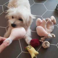 HKM-6150717 Interactive Plush Chicken Soup Toy for Dogs with Sound - Sniff and Play Pet Enrichment