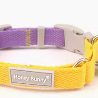 HKM-6157629 Colorful Adjustable Collar and Leash Set with Free Bell for Dogs