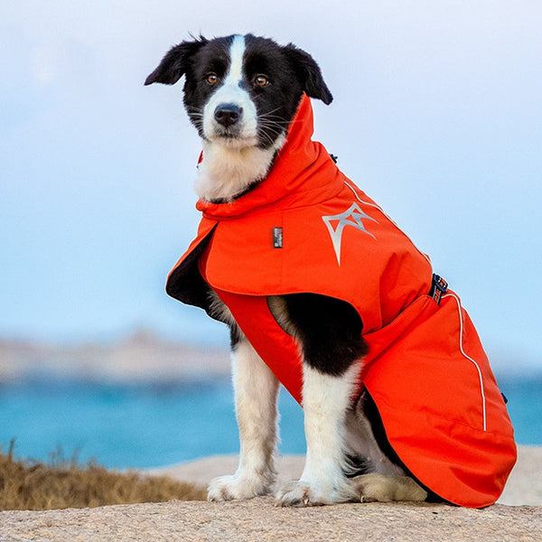 HKM-6160061 Waterproof Warm Velvet Dog Coat for Autumn and Winter in Multiple Sizes and Colors