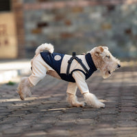 HKM-616595 Navy Blue Windproof Chest and Back Pet Dog Jacket, Sizes S to 8XL