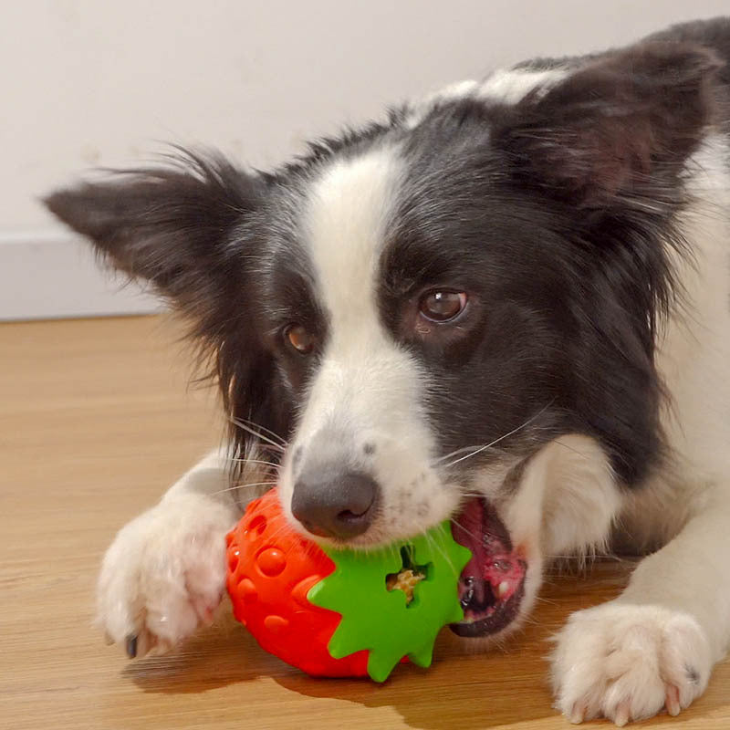 HKM-6169789 Soft Rubber Dog Tooth Cleaning Toy Ball - Bite Resistant and Safe for All Dog Breeds