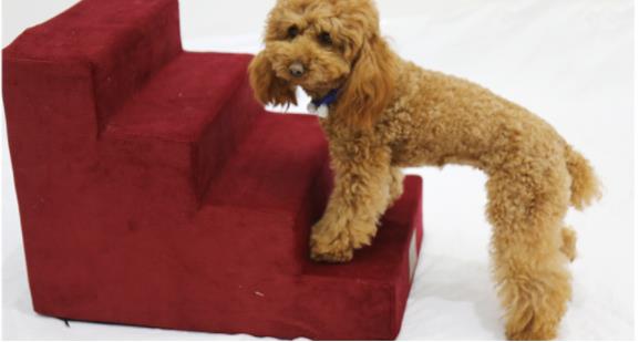 HKM-6181053 Pet Stair Ladder for Dogs - Soft and Compact Steps for Easy Access to Sofas and Beds, Ideal for Older or Small Pets