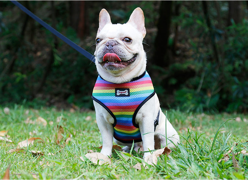 HKM-6181949 Rainbow Striped Chest Strap - Sandwich Mesh, Sizes S, M, L