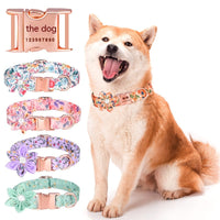 HKM-6190397 Detachable Hexapetalous Flowers Dog Collar - Soft Cotton, Adjustable Sizes in Orange, Blue, and Gray