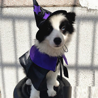 HKM-6193981 Halloween Cloak and Hat Set for Cats and Small to Medium Dogs