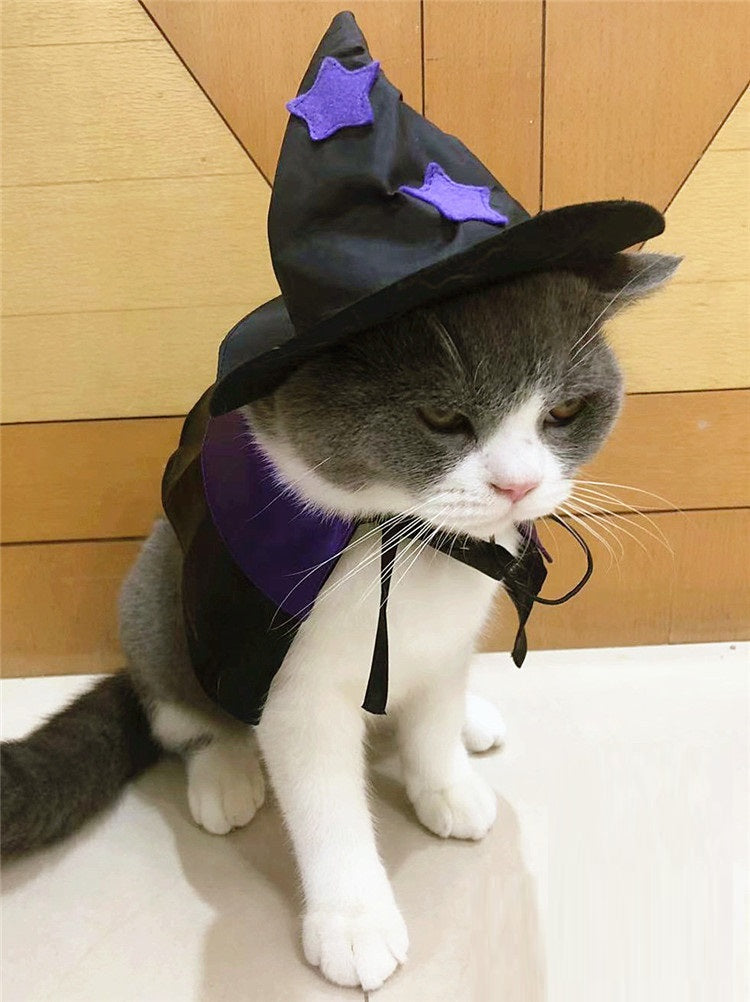 HKM-6193981 Halloween Cloak and Hat Set for Cats and Small to Medium Dogs