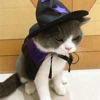 HKM-6193981 Halloween Cloak and Hat Set for Cats and Small to Medium Dogs