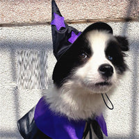 HKM-6193981 Halloween Cloak and Hat Set for Cats and Small to Medium Dogs