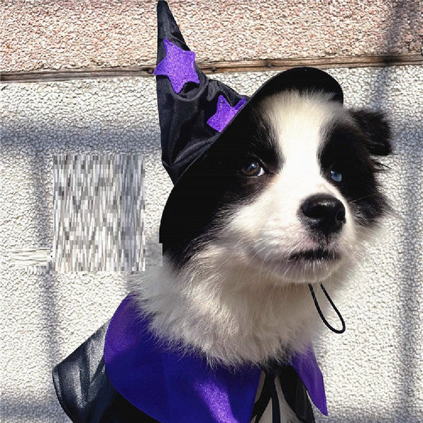 HKM-6193981 Halloween Cloak and Hat Set for Cats and Small to Medium Dogs