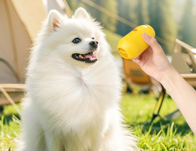 HKM-6196029 Multifunctional Hair Remover for Cats and Dogs - Eco-Friendly Summer Pet Grooming Tool