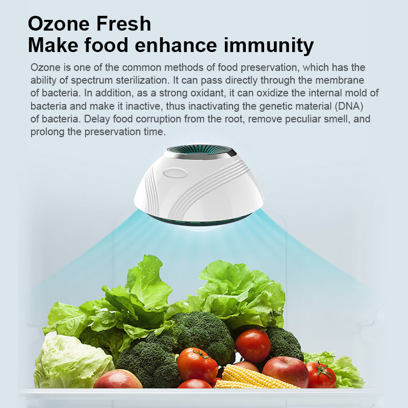 HKM-619603 Ozone Air Purifier for Refrigerator Deodorization and Sterilization