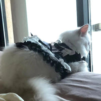 HKM-6204477 Cute Black Magic Fairy Cat Princess Dress Skirt for Pets