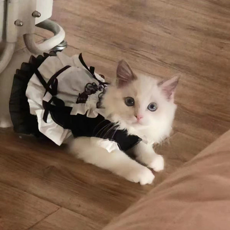 HKM-6204477 Cute Black Magic Fairy Cat Princess Dress Skirt for Pets