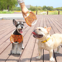 HKM-6204733 Leopard Pattern Cotton Rope Dog Toy - 19CM Diameter Bite Toy