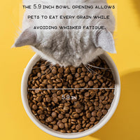 HKM-6212925 Elevated Ceramic Cat Bowls with Cute Animal Designs for Comfortable Feeding and Easy Cleaning