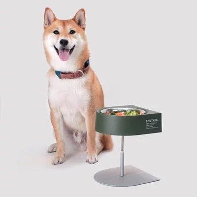 HKM-6215613 Versatile Camping Bowl for Cats and Dogs with Dish Rack - Khaki, Navy Blue, White