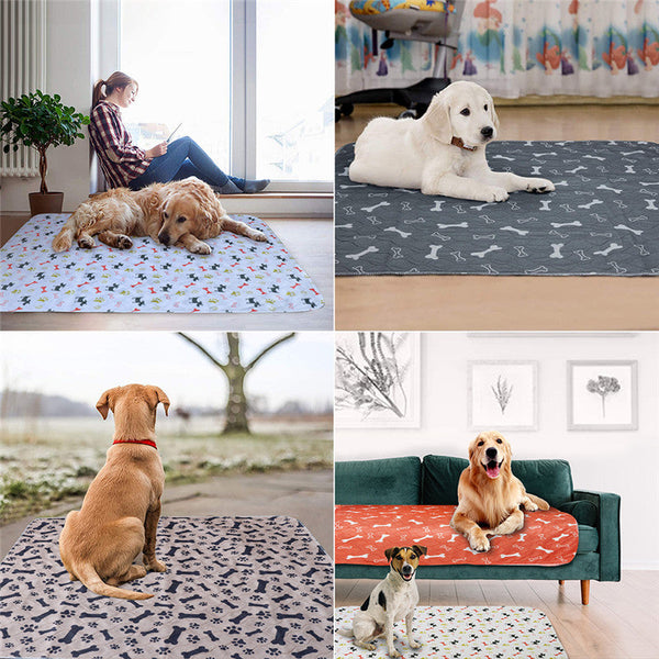 HKM-6223037 Reusable PVC Pet Diapers for Dogs and Cats, Washable and Moisture-Proof, Various Sizes & Colors