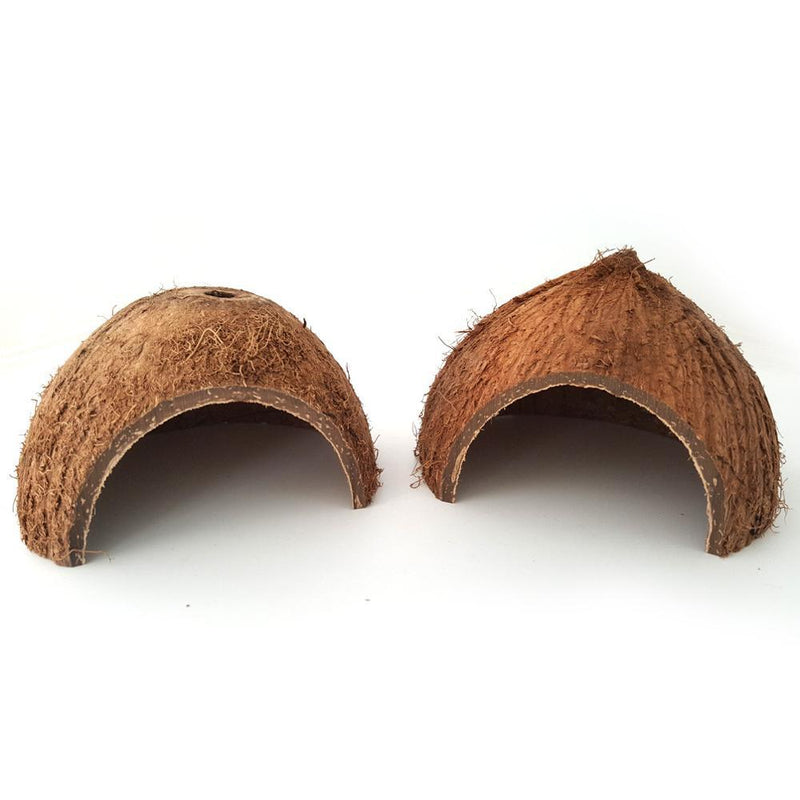 HKM-622483 Natural Coconut Shell Hideout for Turtles, Scorpions, and Lizards - 12-14 cm Diameter