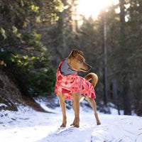 HKM-6225597 Warm Waterproof Quilted Dog Cotton Jacket in Emerald Green and Orange Red - Sizes M to 4XL