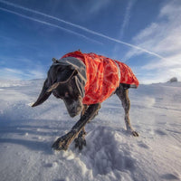 HKM-6225597 Warm Waterproof Quilted Dog Cotton Jacket in Emerald Green and Orange Red - Sizes M to 4XL