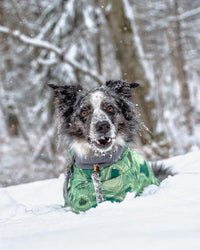 HKM-6225597 Warm Waterproof Quilted Dog Cotton Jacket in Emerald Green and Orange Red - Sizes M to 4XL