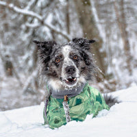 HKM-6225597 Warm Waterproof Quilted Dog Cotton Jacket in Emerald Green and Orange Red - Sizes M to 4XL