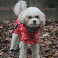 HKM-6225597 Warm Waterproof Quilted Dog Cotton Jacket in Emerald Green and Orange Red - Sizes M to 4XL