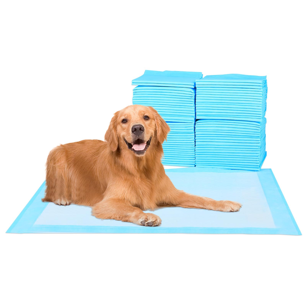 HKM-623059 40-Pack 30x30 Inch Disposable Puppy Training Pads with Quick Absorbency and Odor Control