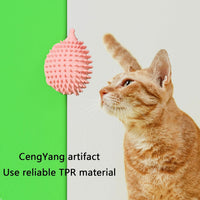 HKM-6234173 Hedgehog-Shaped Interactive Cat Toy and Scratcher for Playtime and Grooming