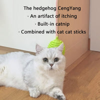 HKM-6234173 Hedgehog-Shaped Interactive Cat Toy and Scratcher for Playtime and Grooming