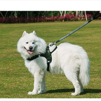 HKM-6236477 Durable Nylon Dog Leash with Adjustable Length for All Dog Sizes