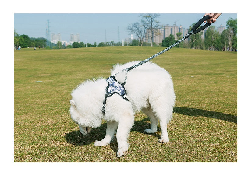 HKM-6236477 Durable Nylon Dog Leash with Adjustable Length for All Dog Sizes