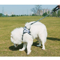 HKM-6236477 Durable Nylon Dog Leash with Adjustable Length for All Dog Sizes