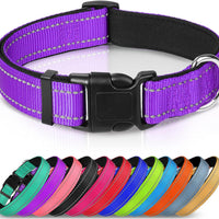 HKM-6238653 Adjustable Reflective Nylon Dog Collar for Small to Extra Large Pets - Multiple Color Options Available