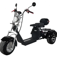 HKM-623891 3000W Three-Wheel Electric Scooter with Bluetooth, Full Suspension & Long Range