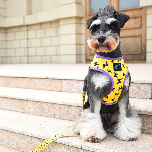 HKM-6247485 Vest-Style Dog Harness Made of Durable Polyester - Multiple Sizes and Colors Available