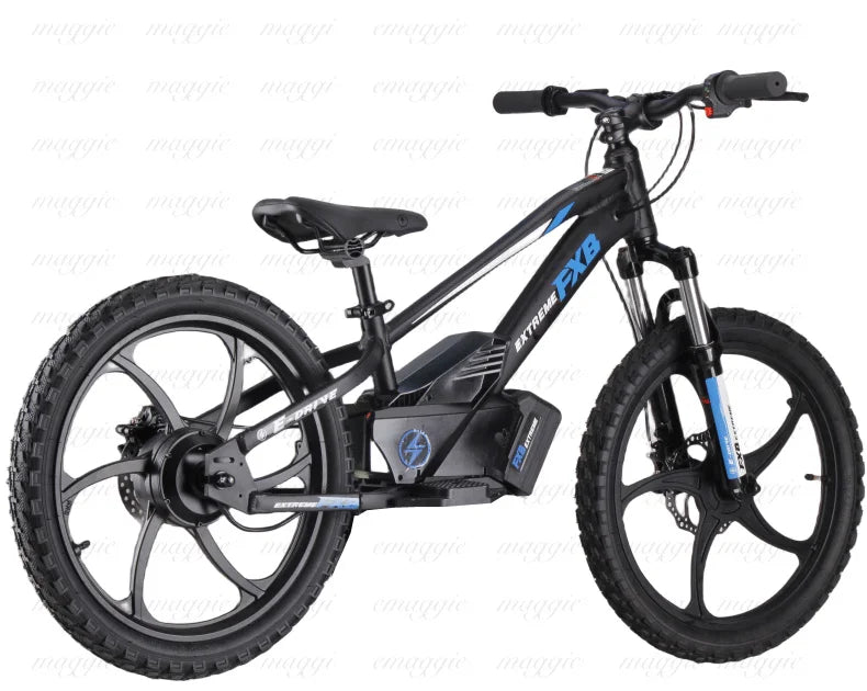 HKM-625107 20" Electric Balance Bike with 400W Hub Motor and 5.0AH Lithium Battery for Kids