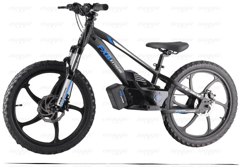 HKM-625107 20" Electric Balance Bike with 400W Hub Motor and 5.0AH Lithium Battery for Kids