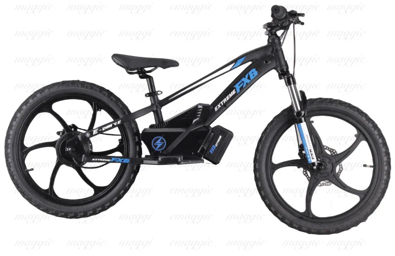 HKM-625107 20" Electric Balance Bike with 400W Hub Motor and 5.0AH Lithium Battery for Kids